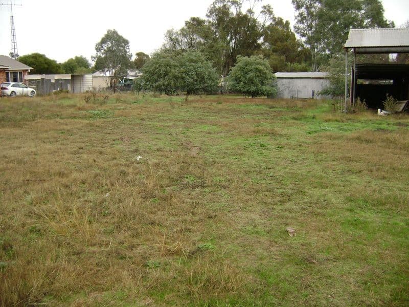 45 Redbank Street, GREENETHORPE NSW 2809, Greenethorpe - Thumbnail 6