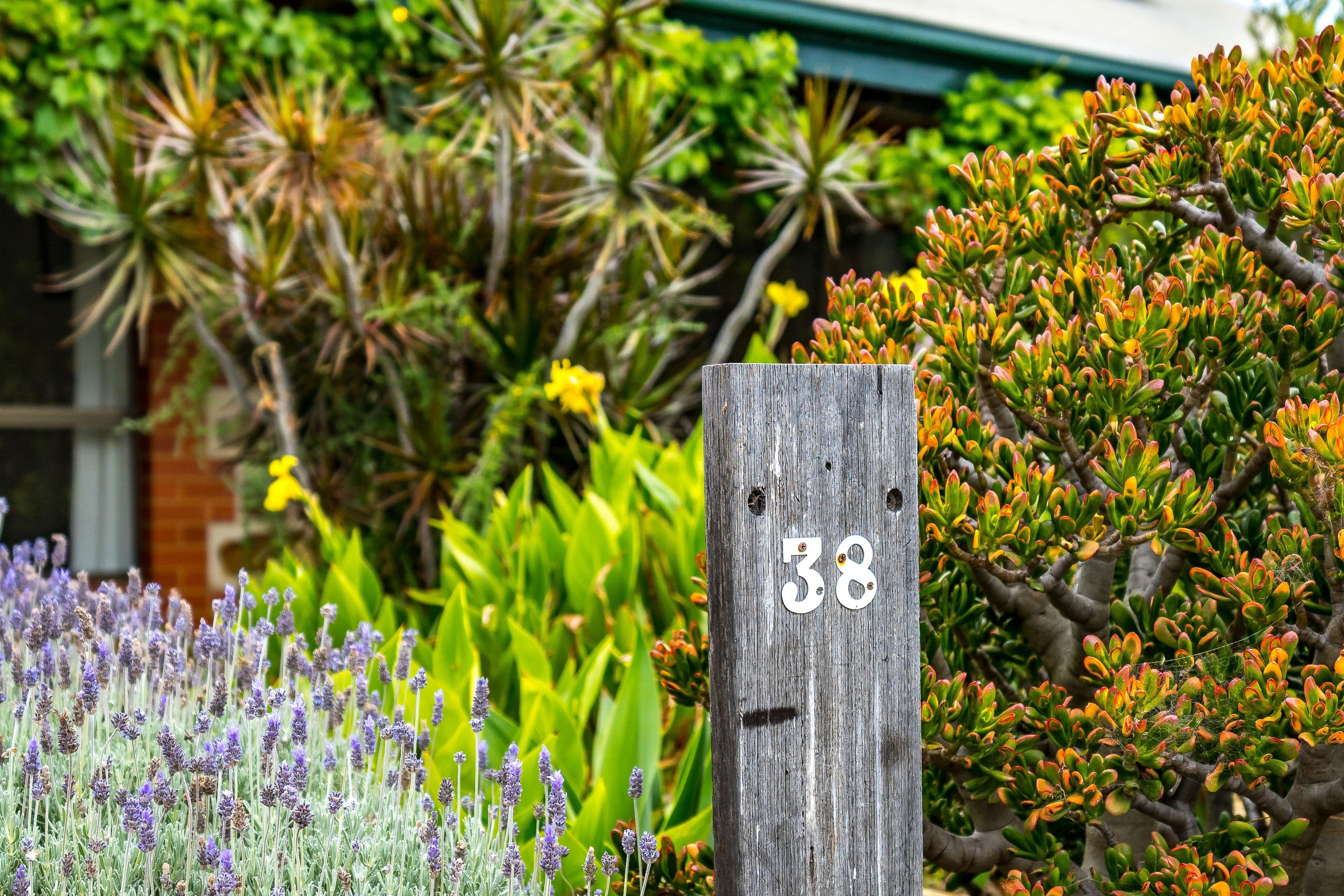 38 Golfview Road, Goolwa Beach SA 5214, Goolwa Beach - Thumbnail 5