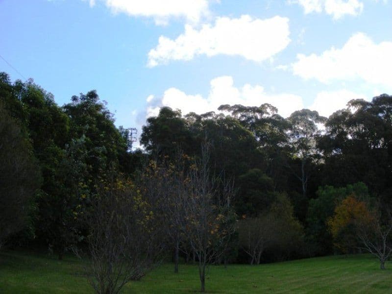 107A Derribong Drive, CORDEAUX HEIGHTS NSW 2526, Cordeaux Heights - Thumbnail 2