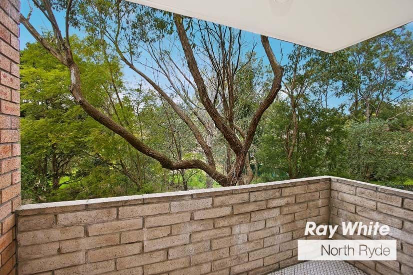 9 Peachtree Road, MACQUARIE PARK NSW 2113, Macquarie Park - Thumbnail 4