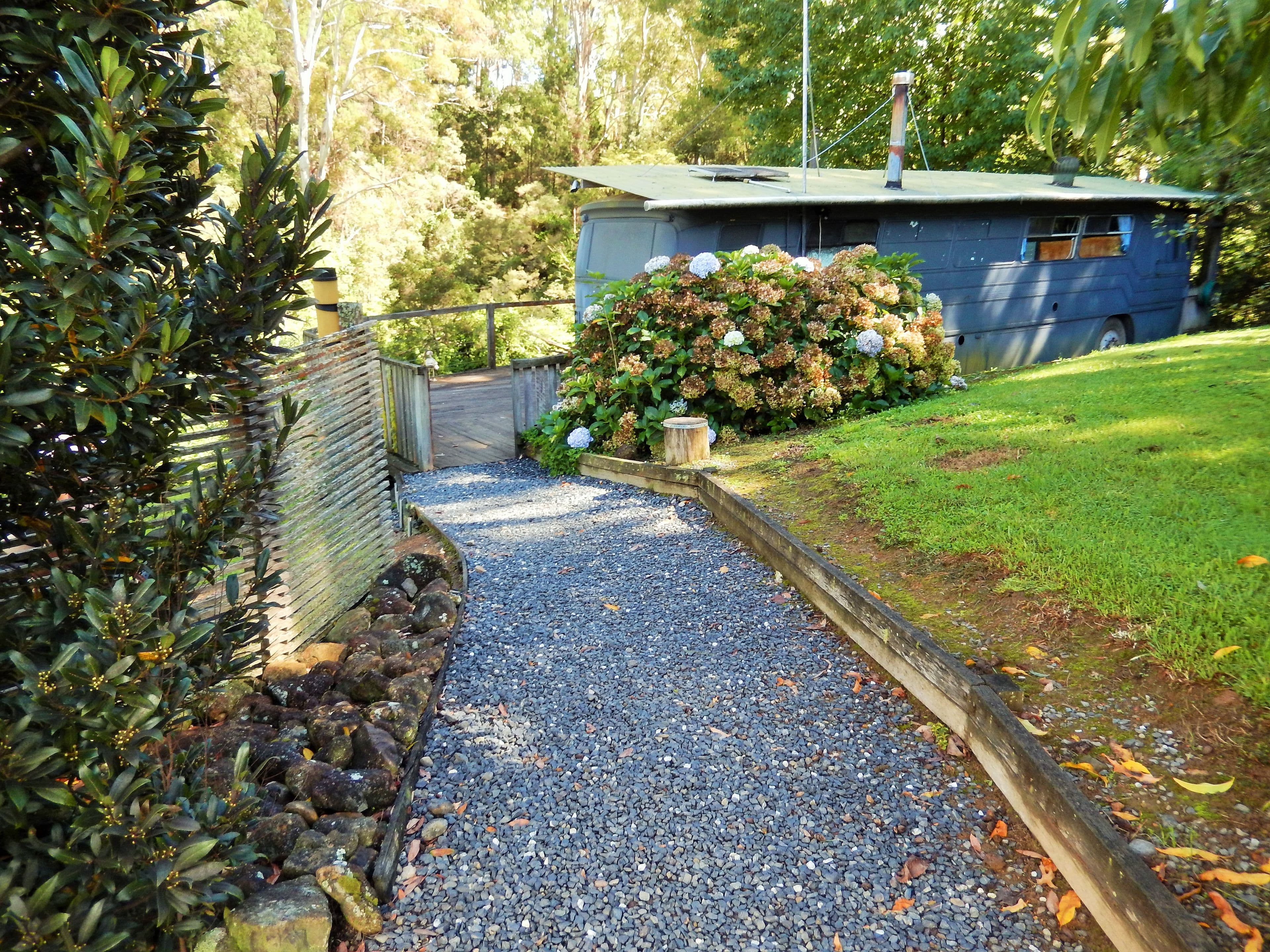 19 Richards Road, Megan, Dorrigo NSW 2453, Dorrigo - Thumbnail 4