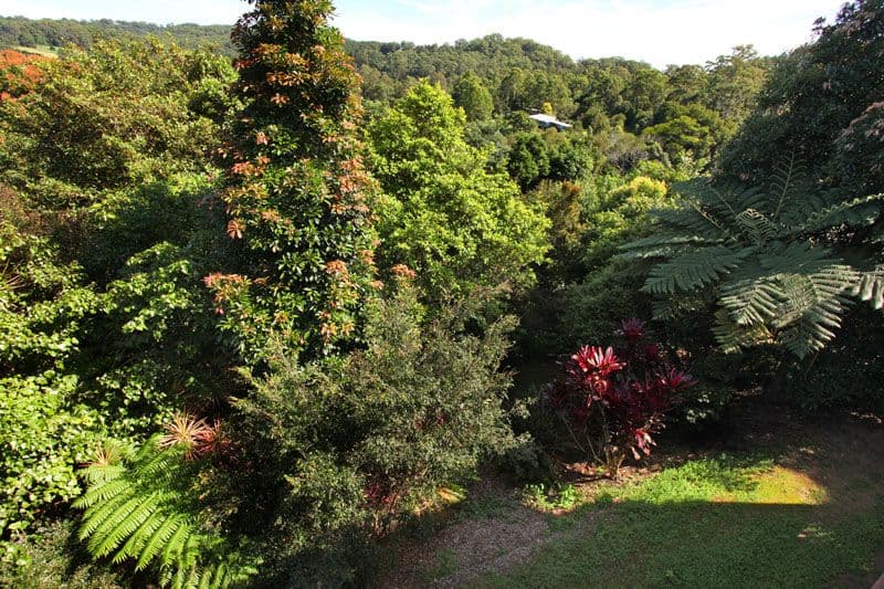 48 Lemon Grove Place, ROSEMOUNT QLD 4560, Rosemount - Thumbnail 5