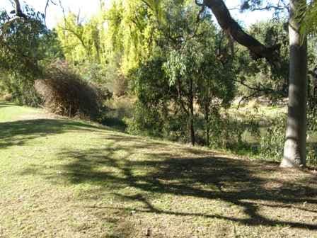 57 Winton Street, GOONDIWINDI QLD 4390, Goondiwindi - Thumbnail 2
