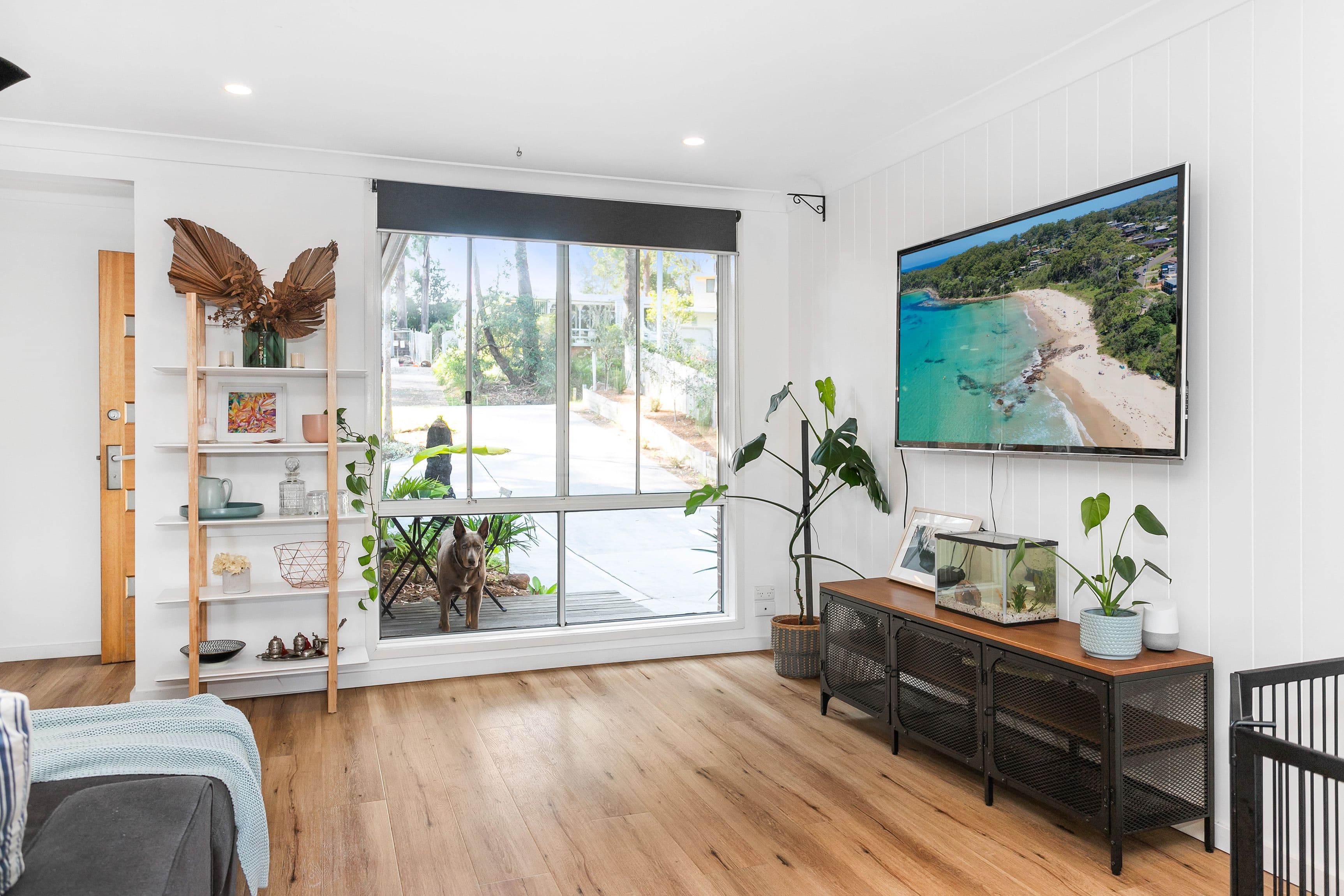 82 Ross Avenue, Narrawallee NSW 2539, Narrawallee - Thumbnail 5