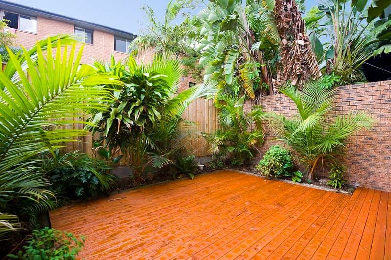 37 Raymond Road, NEUTRAL BAY NSW 2089, Neutral Bay - Thumbnail 5