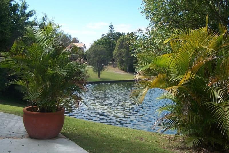 14  Haslewood Court, MERMAID WATERS QLD 4218, Mermaid Waters - Thumbnail 5