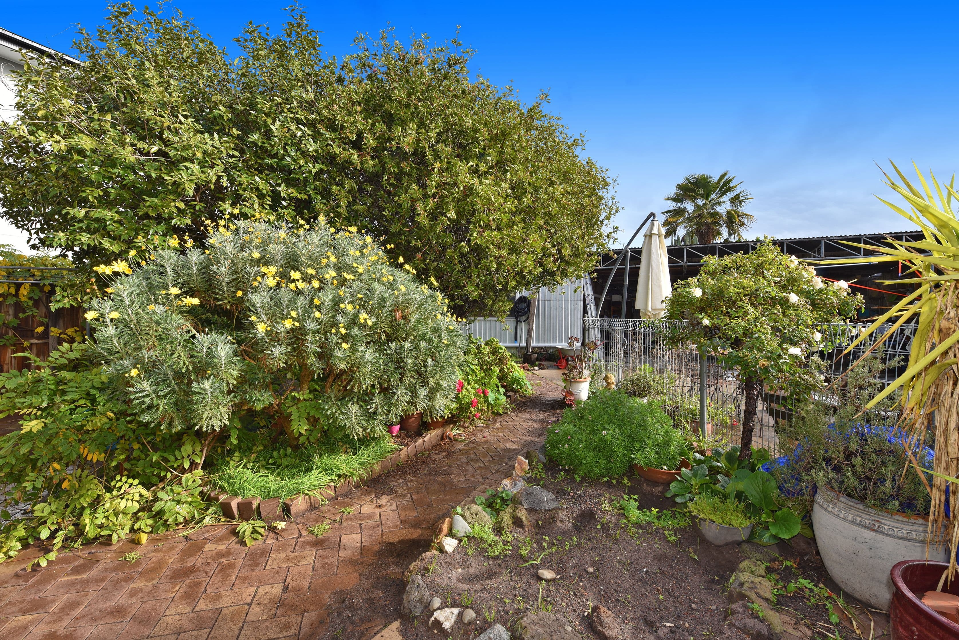 3 Myers Street, Pascoe Vale South VIC 3044, Pascoe Vale South - Thumbnail 8