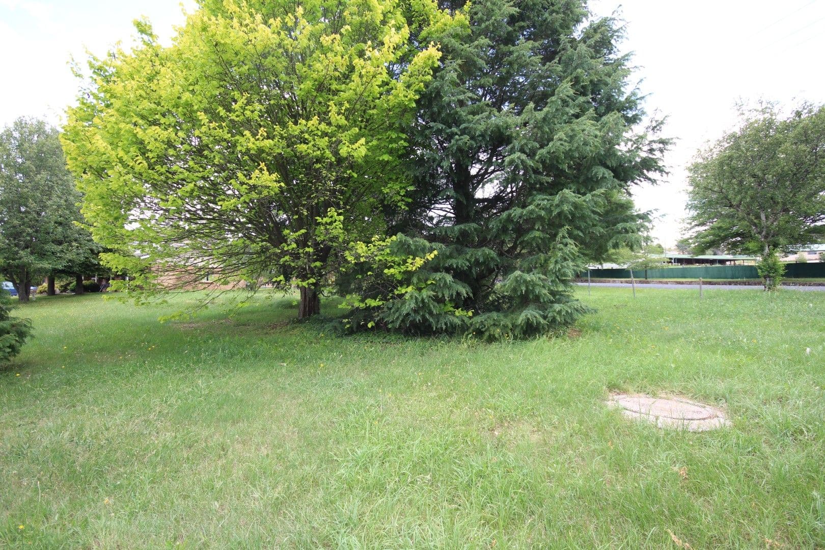 36 Jenolan Street, Oberon NSW 2787, Oberon - Thumbnail 2