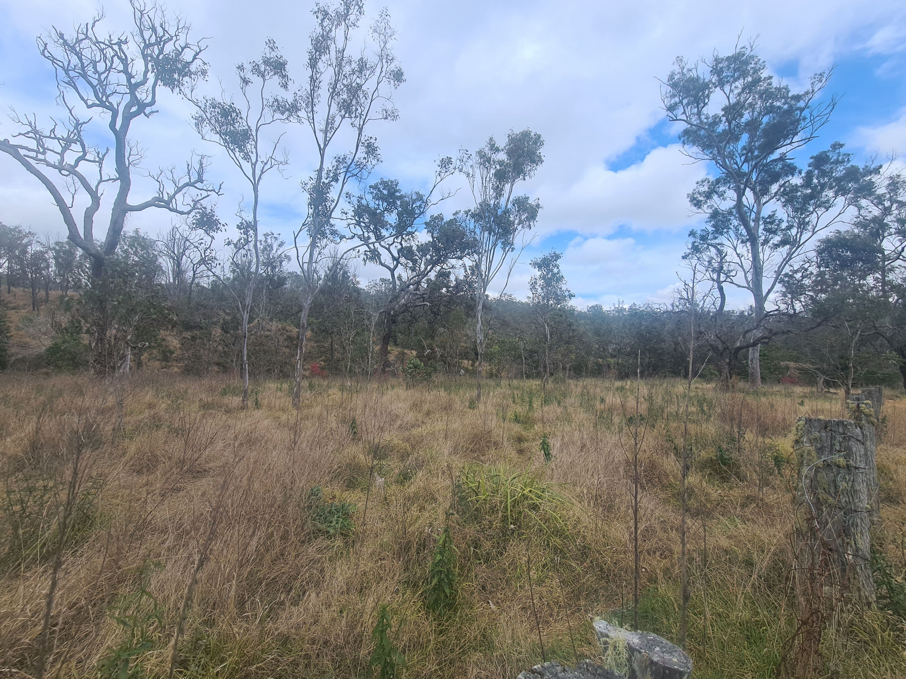Lot 225, White Road, Crows Nest QLD 4355, Crows Nest - Image 1