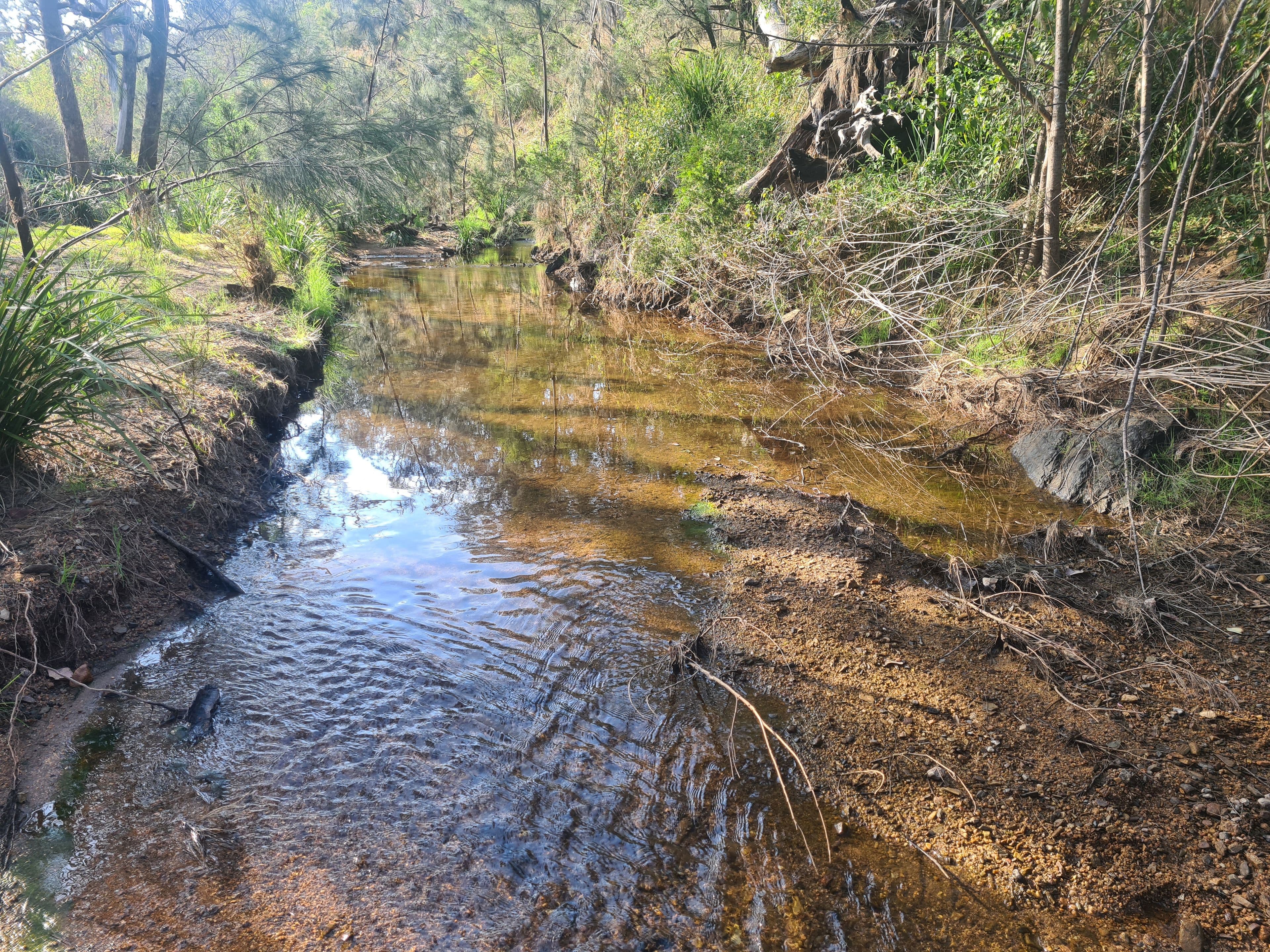 Lot 225, White Road, Crows Nest QLD 4355, Crows Nest - Thumbnail 2