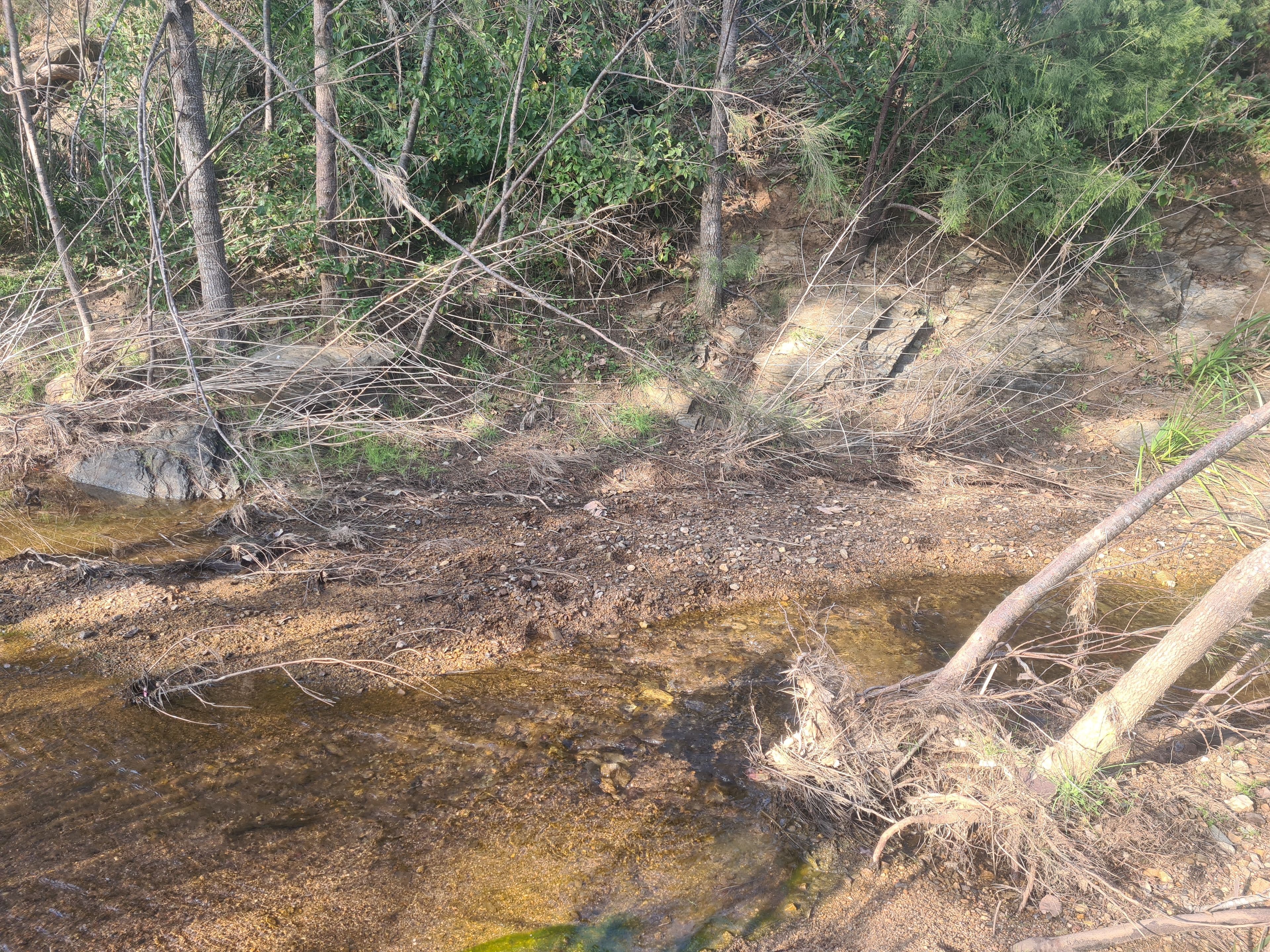 Lot 225, White Road, Crows Nest QLD 4355, Crows Nest - Thumbnail 4