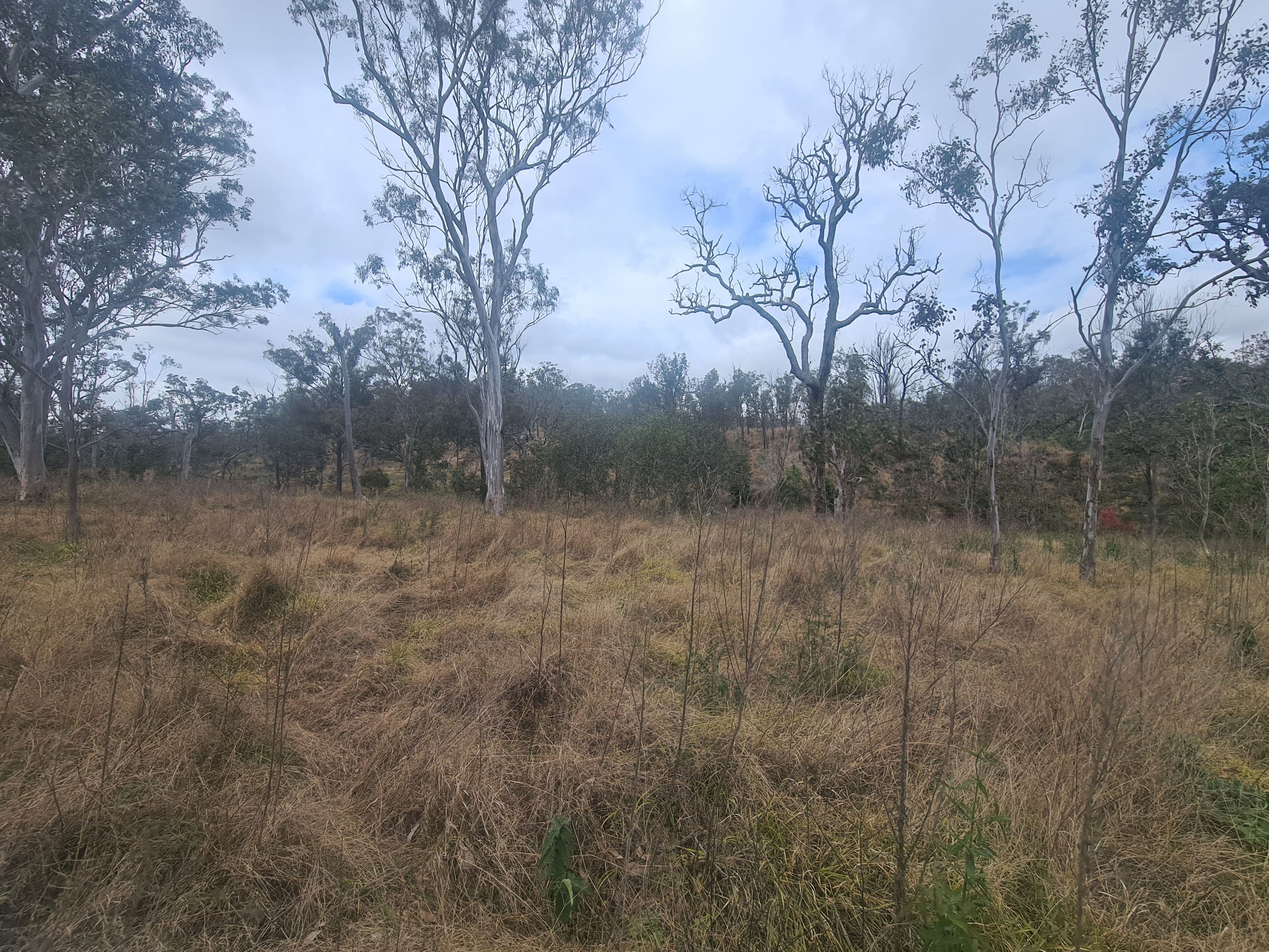 Lot 225, White Road, Crows Nest QLD 4355, Crows Nest - Thumbnail 5