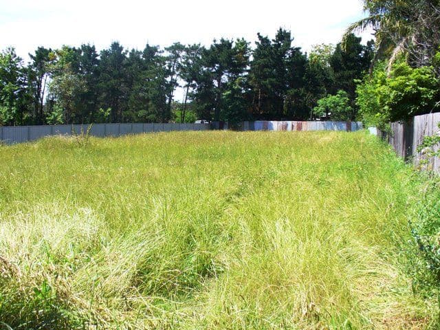 11A Evans Street, GRETA NSW 2334, Greta - Image 1