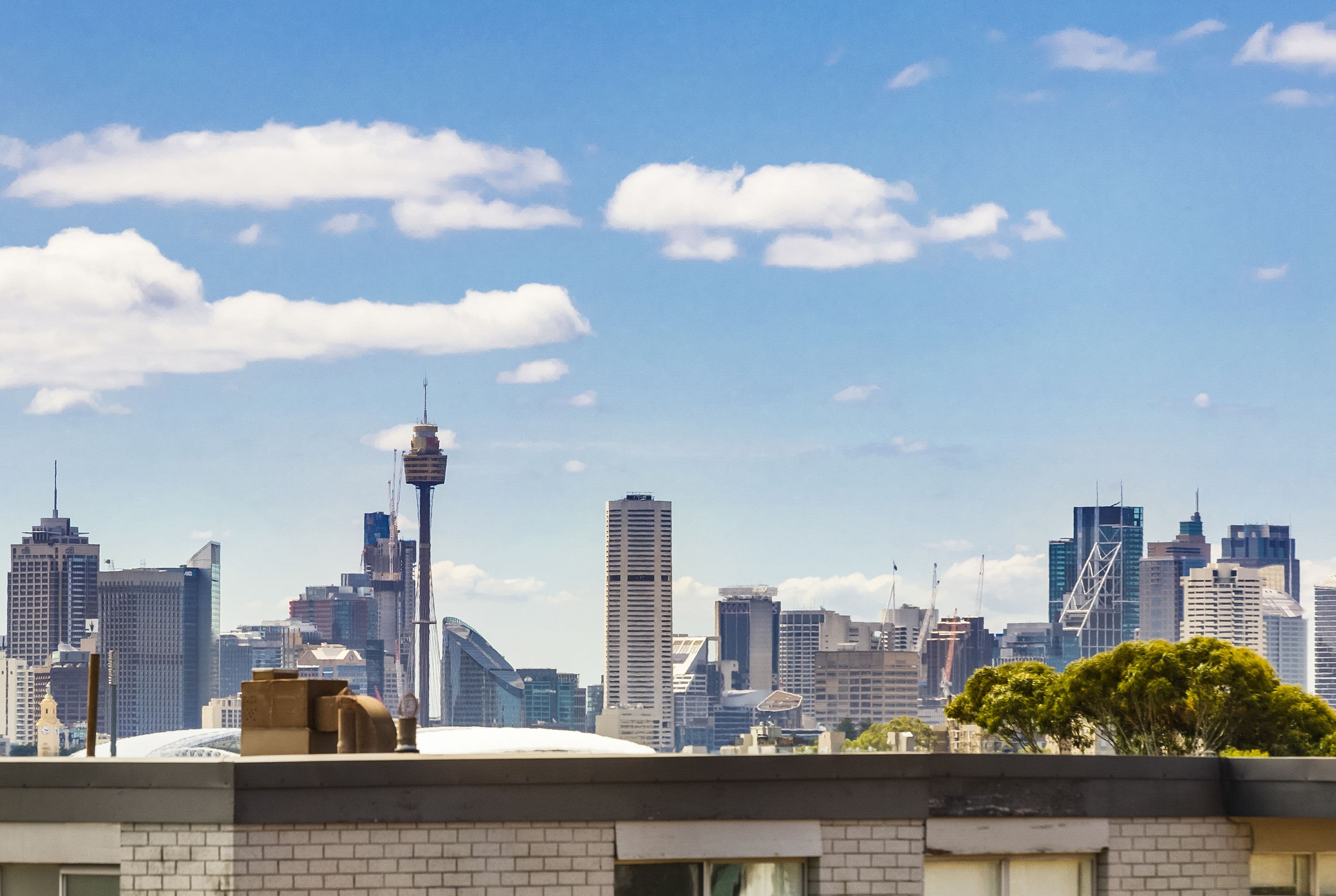 1 Waverley Street, Randwick NSW 2031, Randwick - Thumbnail 4