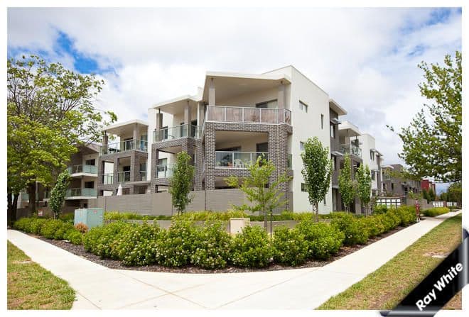 74 MacLeay Street, TURNER ACT 2612, Turner - Image 1