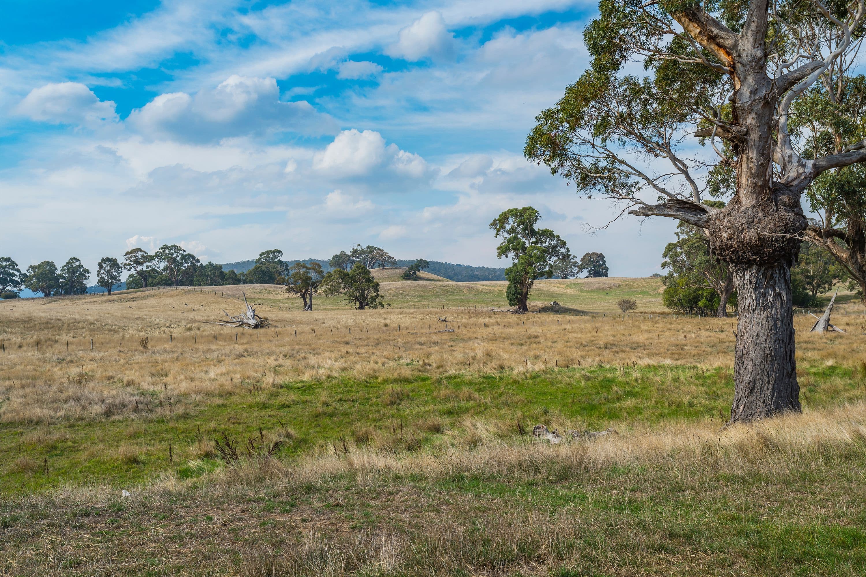 90 Kirbys Lane, Woodend VIC 3442, Woodend North - Thumbnail 7