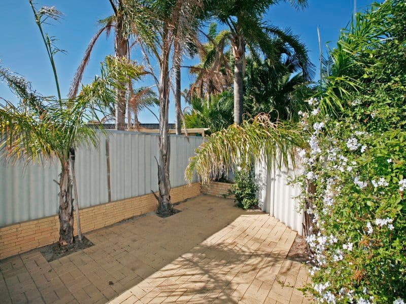 3b Ranmore Way, Morley WA 6062, Morley - Thumbnail 4
