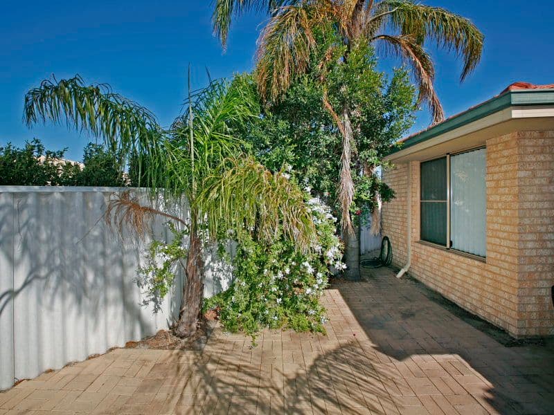 3b Ranmore Way, Morley WA 6062, Morley - Thumbnail 6