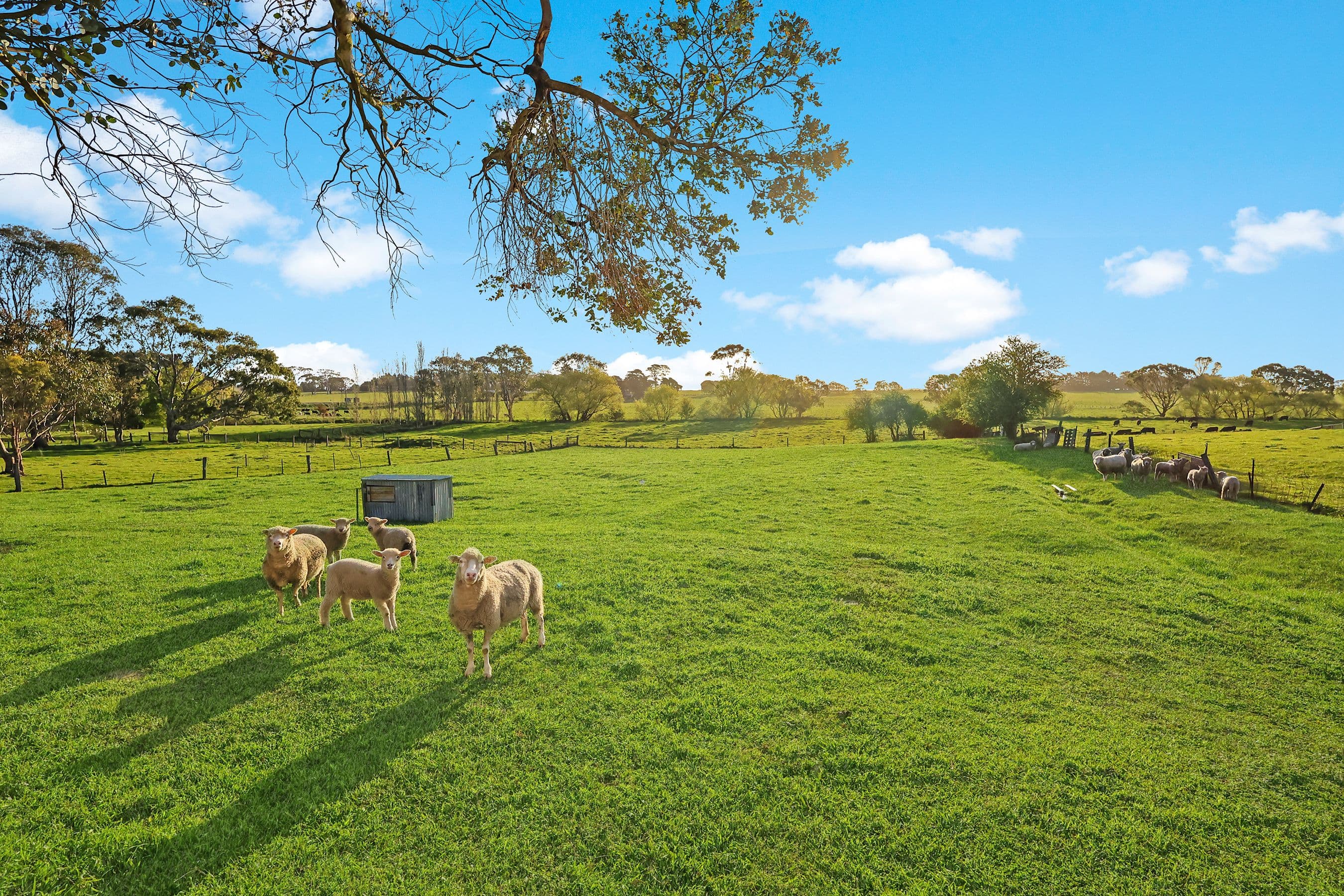 67 Manifold Street, Woolsthorpe VIC 3276, Woolsthorpe - Thumbnail 8