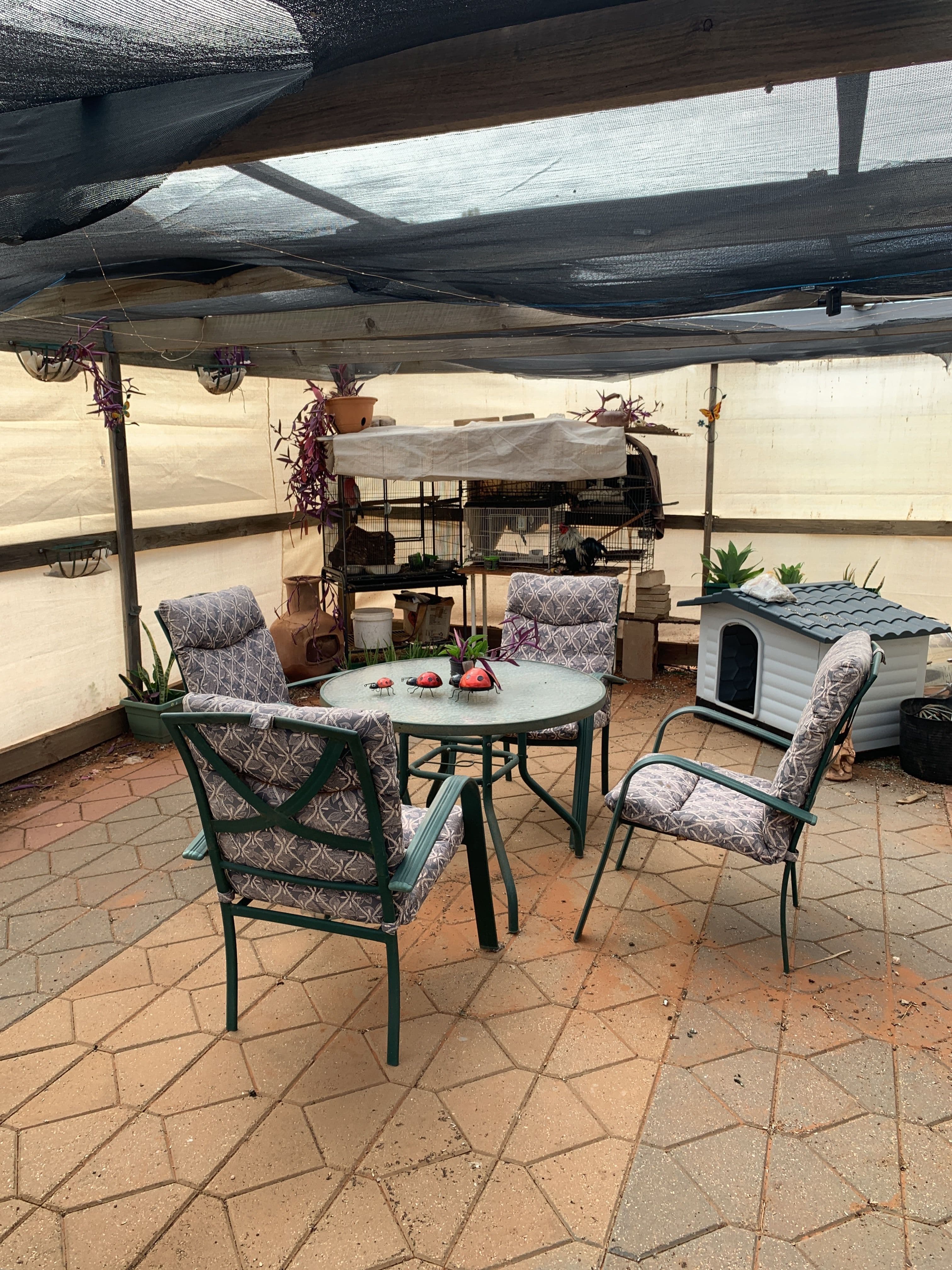 11 Pearce Street, Port Augusta SA 5700, Port Augusta - Thumbnail 8