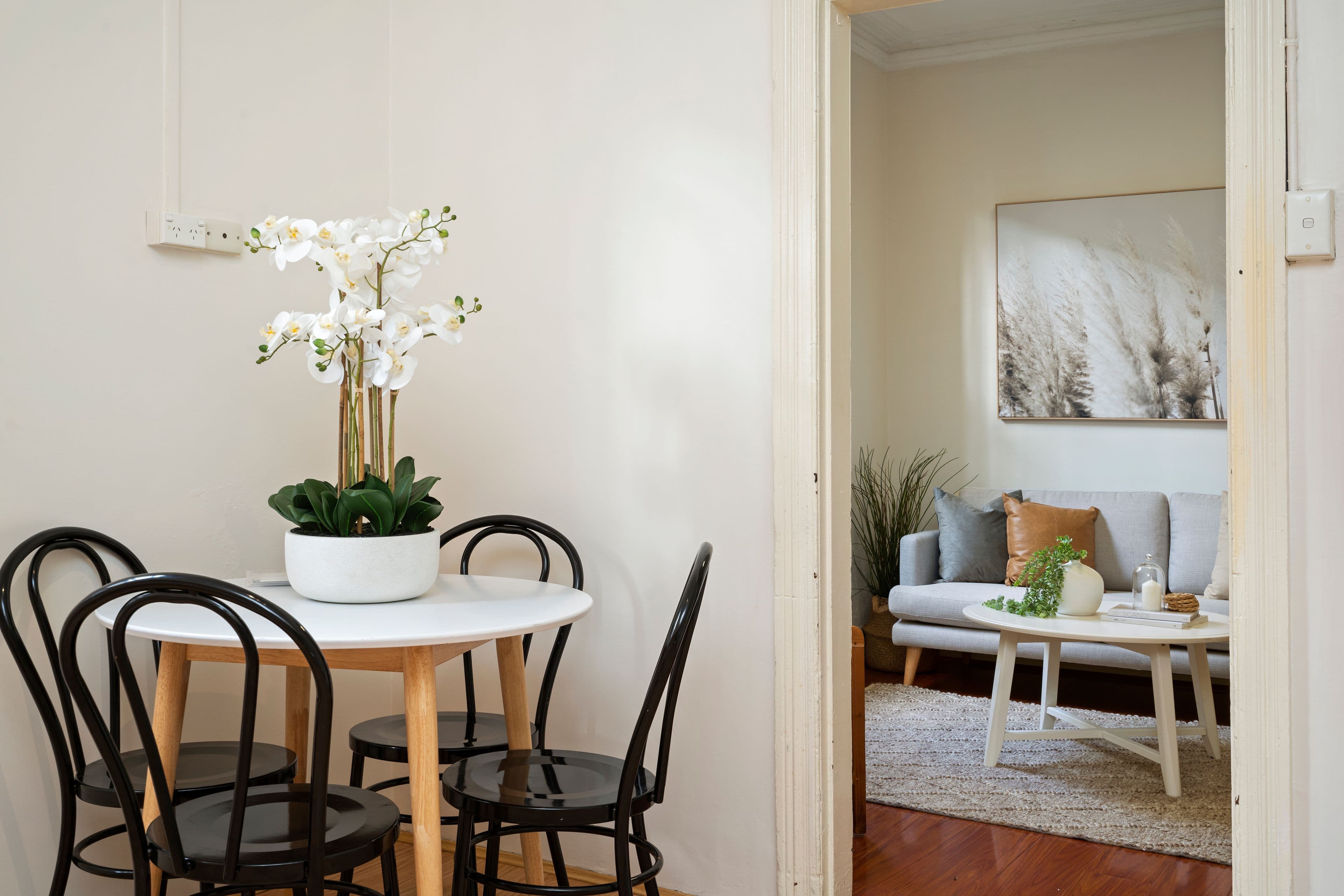 3 Darling Street, Kensington NSW 2033, Kensington - Thumbnail 7