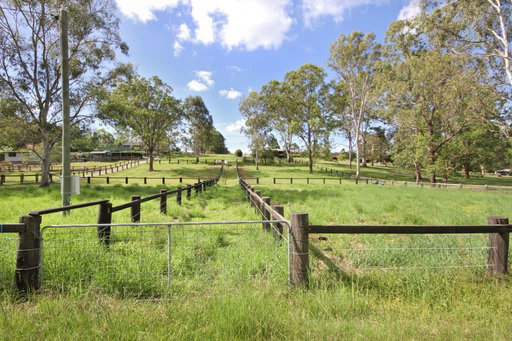 19 Tallai Road, TALLAI QLD 4213, Tallai - Image 1