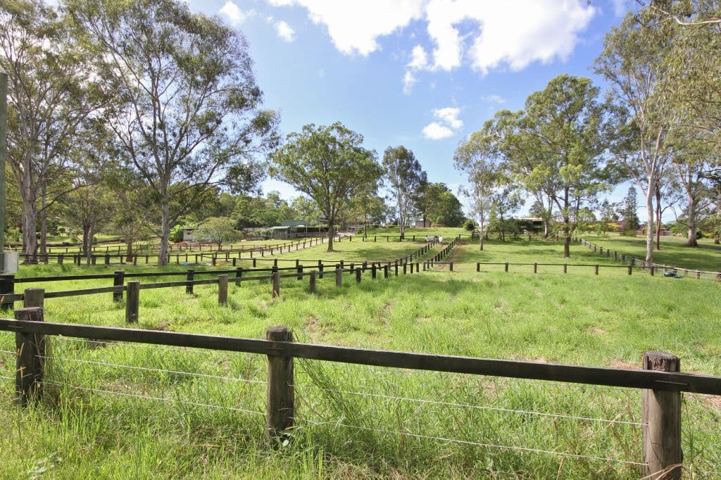 19 Tallai Road, TALLAI QLD 4213, Tallai - Thumbnail 4