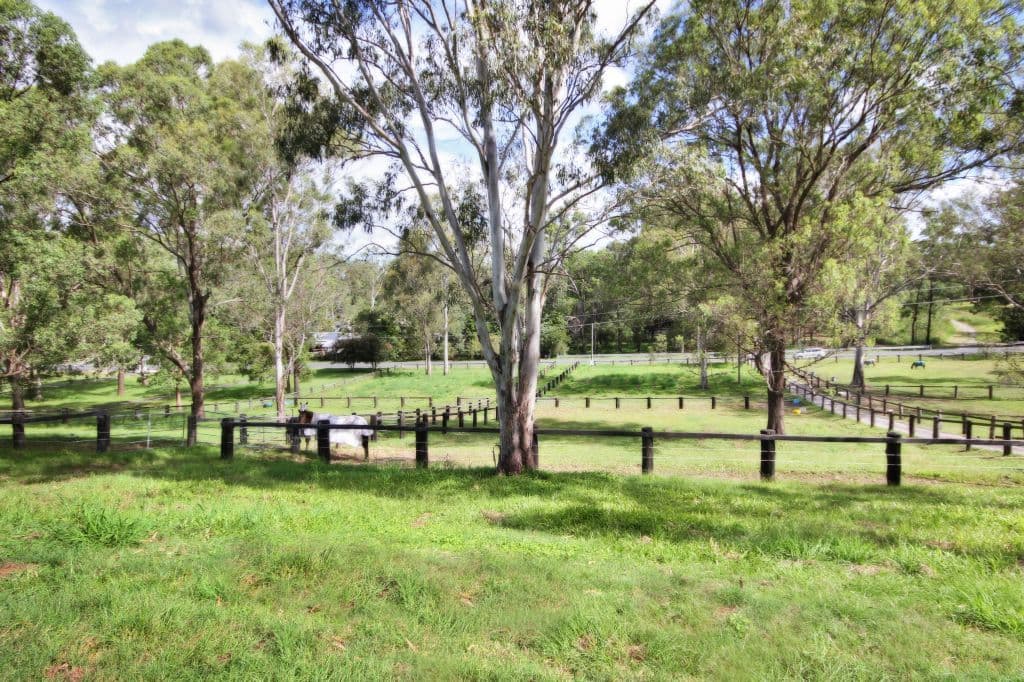 19 Tallai Road, TALLAI QLD 4213, Tallai - Thumbnail 5