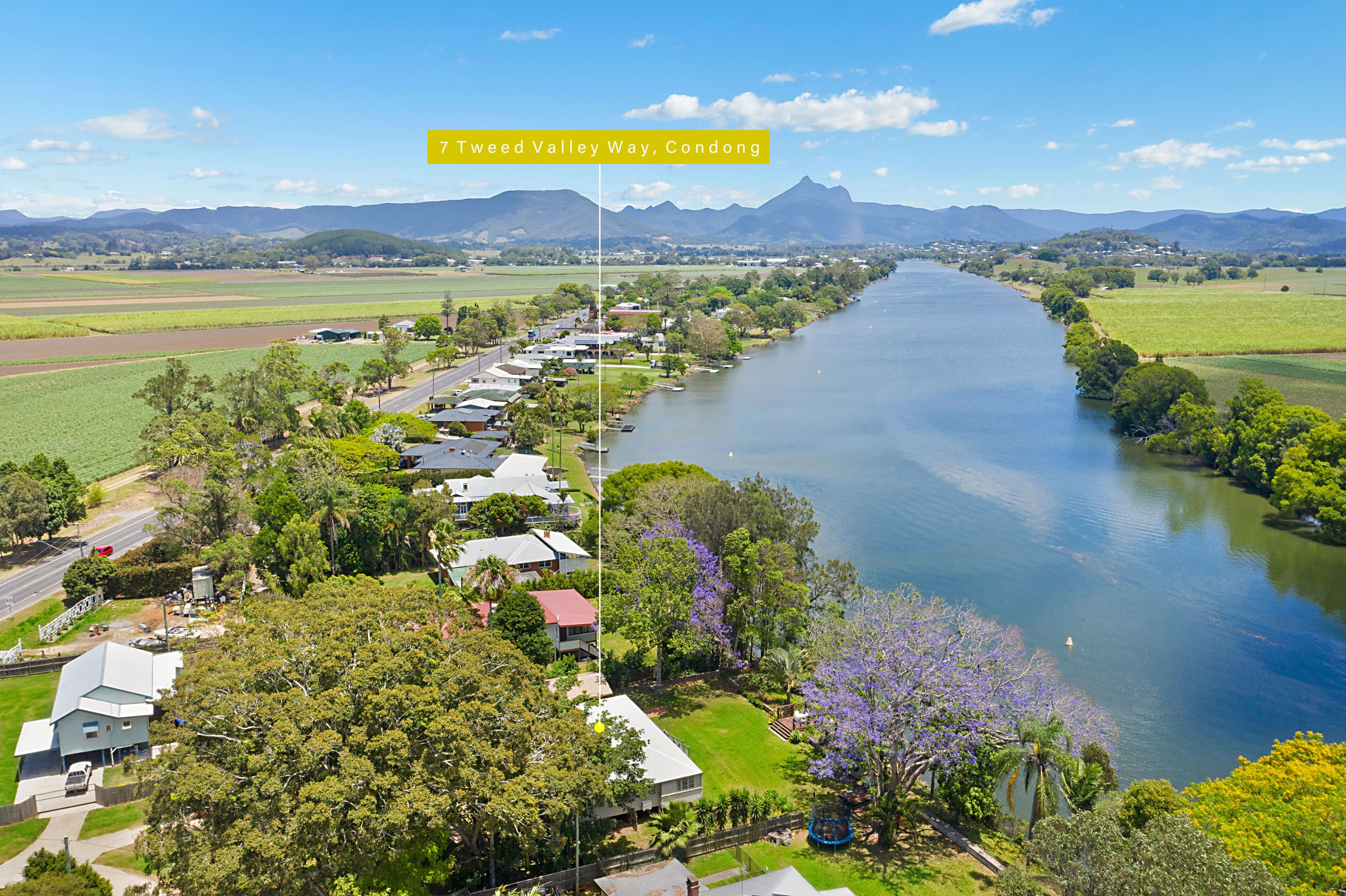 7 Tweed Valley Way, Condong NSW 2484, Condong - Thumbnail 2
