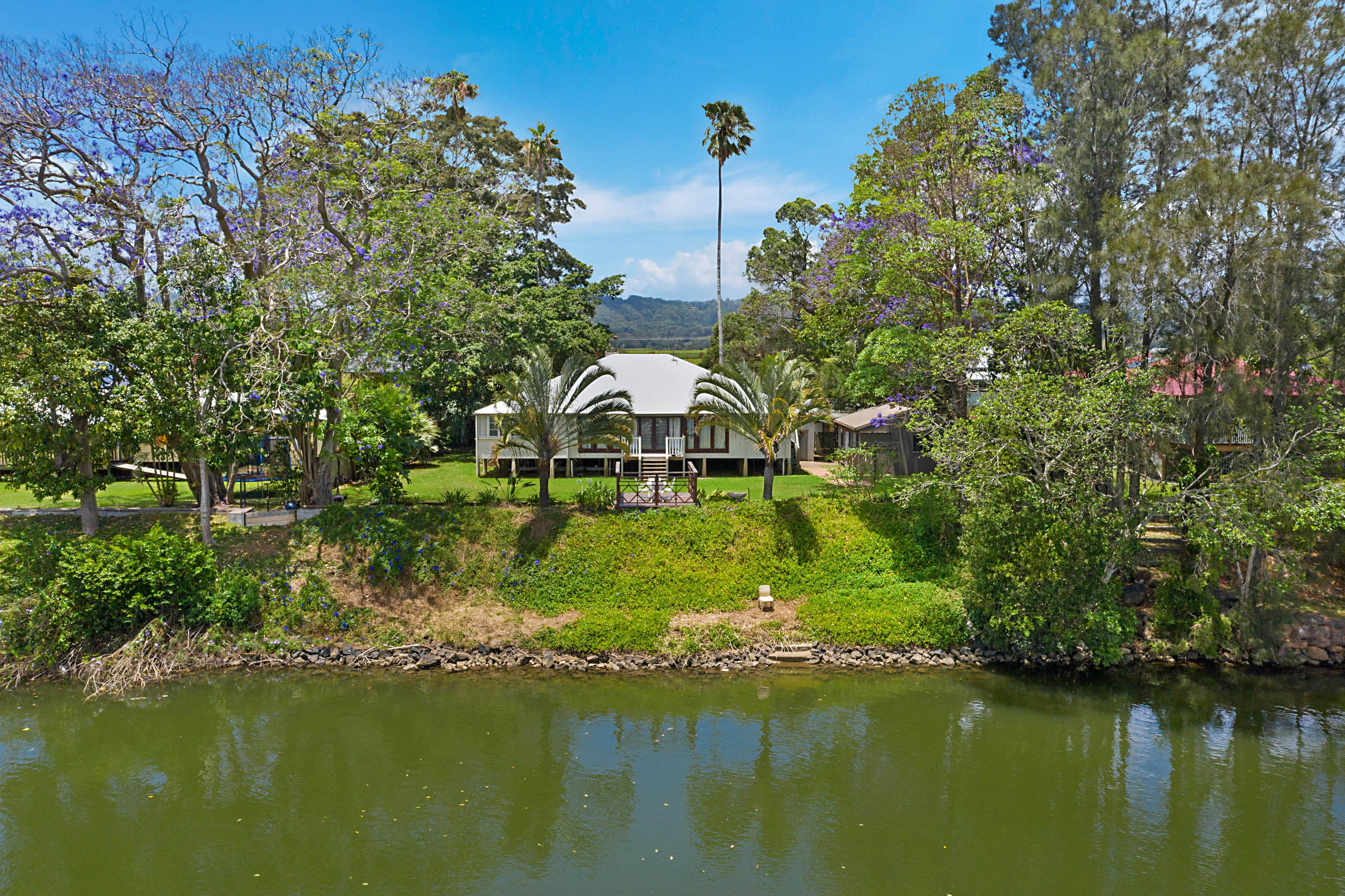 7 Tweed Valley Way, Condong NSW 2484, Condong - Thumbnail 4