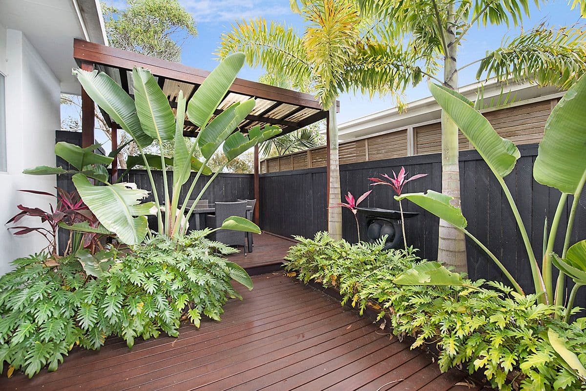 10 Eyre Place, Caloundra West QLD 4551, Caloundra West - Thumbnail 5
