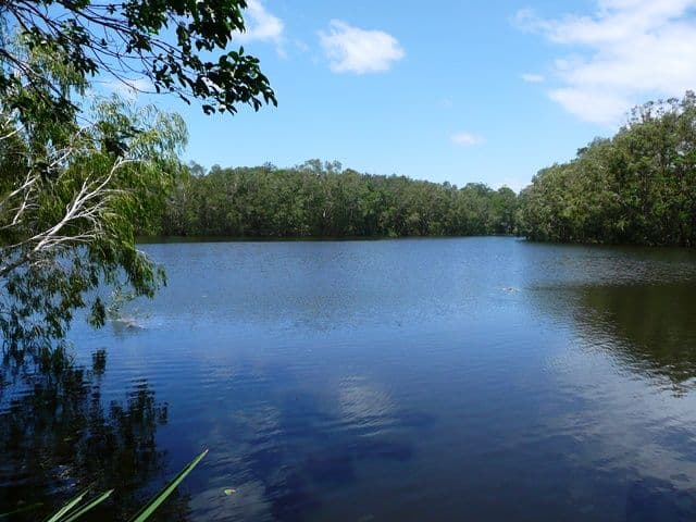 56 Tamarind Avenue, CABARITA BEACH NSW 2488, Cabarita Beach - Image 1