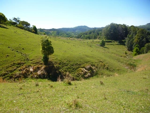 1310 Currumbin Creek Road, CURRUMBIN VALLEY QLD 4223, Currumbin Valley - Thumbnail 2