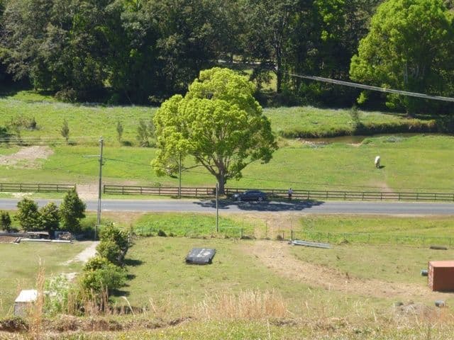 1310 Currumbin Creek Road, CURRUMBIN VALLEY QLD 4223, Currumbin Valley - Thumbnail 7