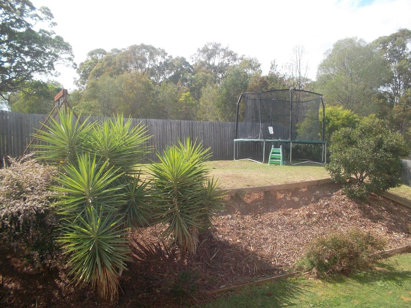 16 Emily Street, Ormeau QLD 4208, Ormeau - Thumbnail 3