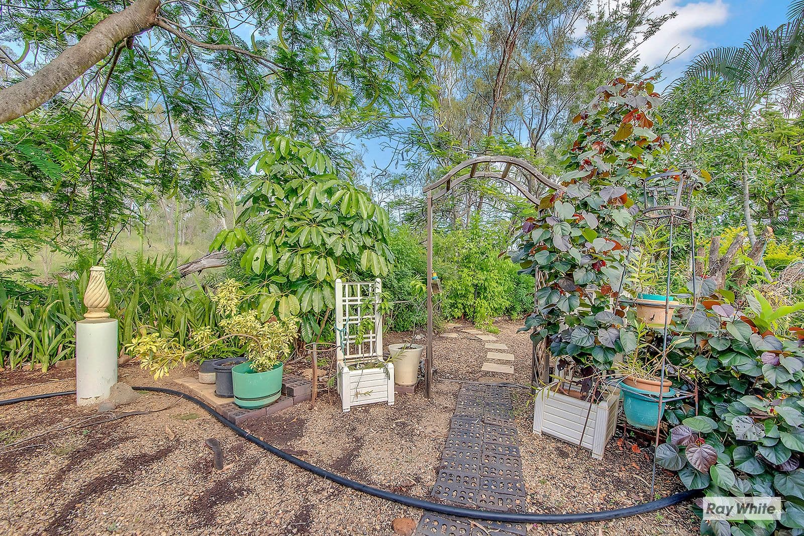 1066 Yeppoon Road, Ironpot QLD 4701, Ironpot - Thumbnail 2