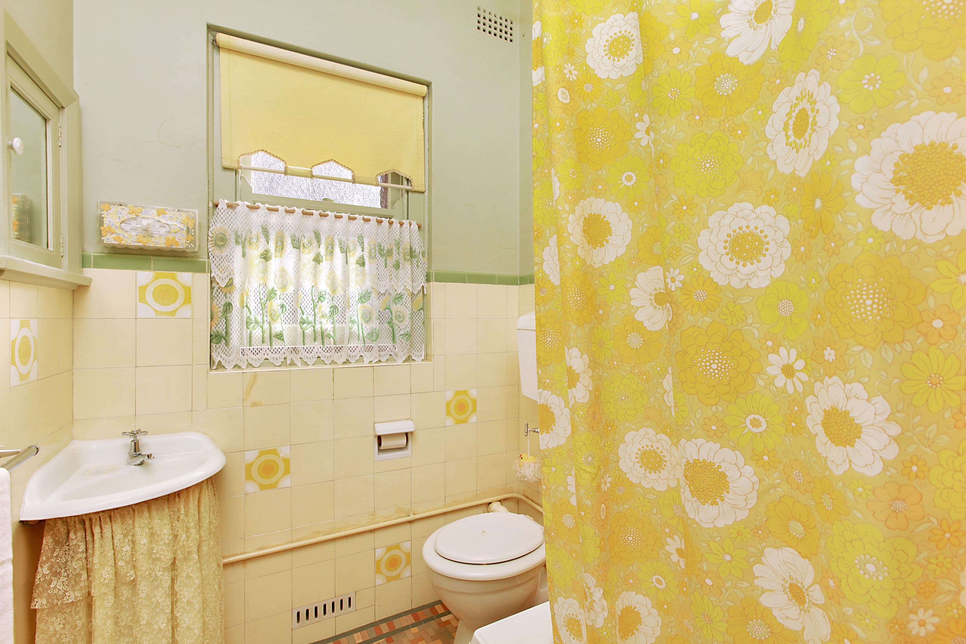 248 Clovelly Road, Clovelly NSW 2031, Clovelly - Thumbnail 6