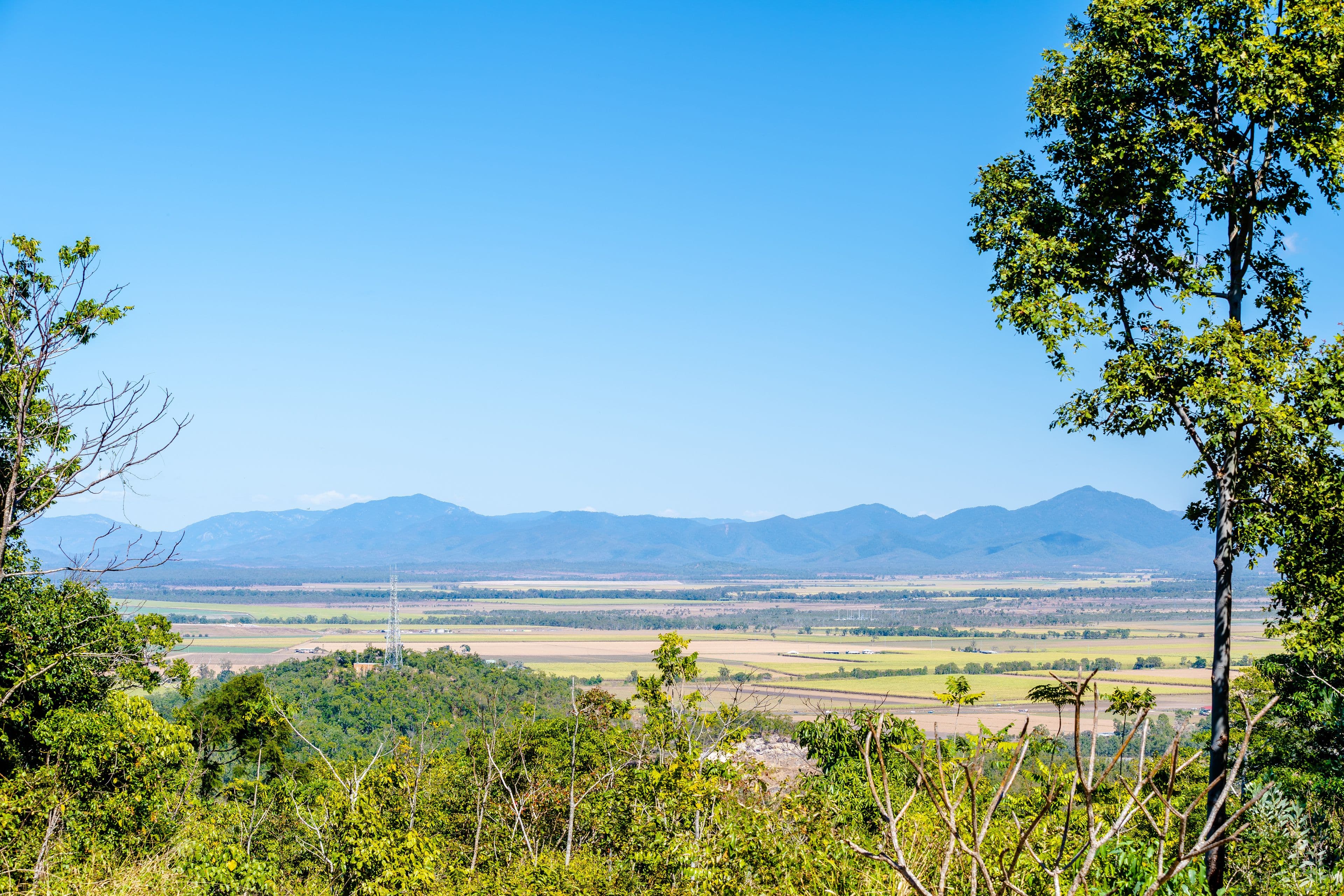Lot 199 Camille Drive, Strathdickie QLD 4800, Strathdickie - Image 1