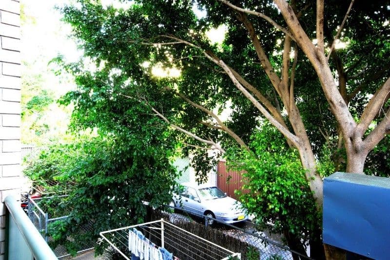 51 Hereford Street, GLEBE NSW 2037, Glebe - Thumbnail 3