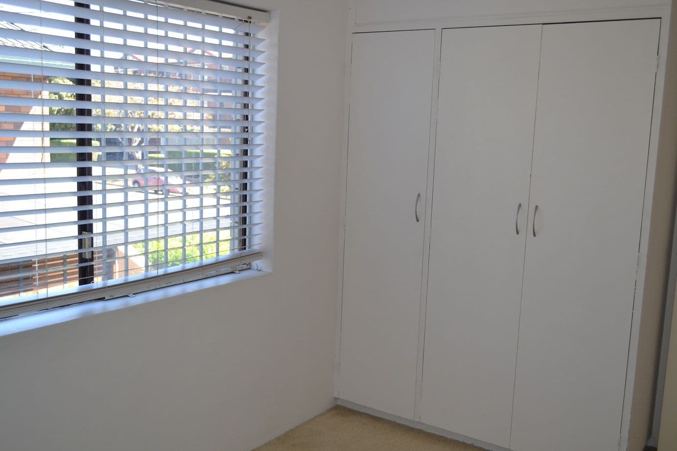 79 Beatrice Terrace, ASCOT QLD 4007, Ascot - Thumbnail 4