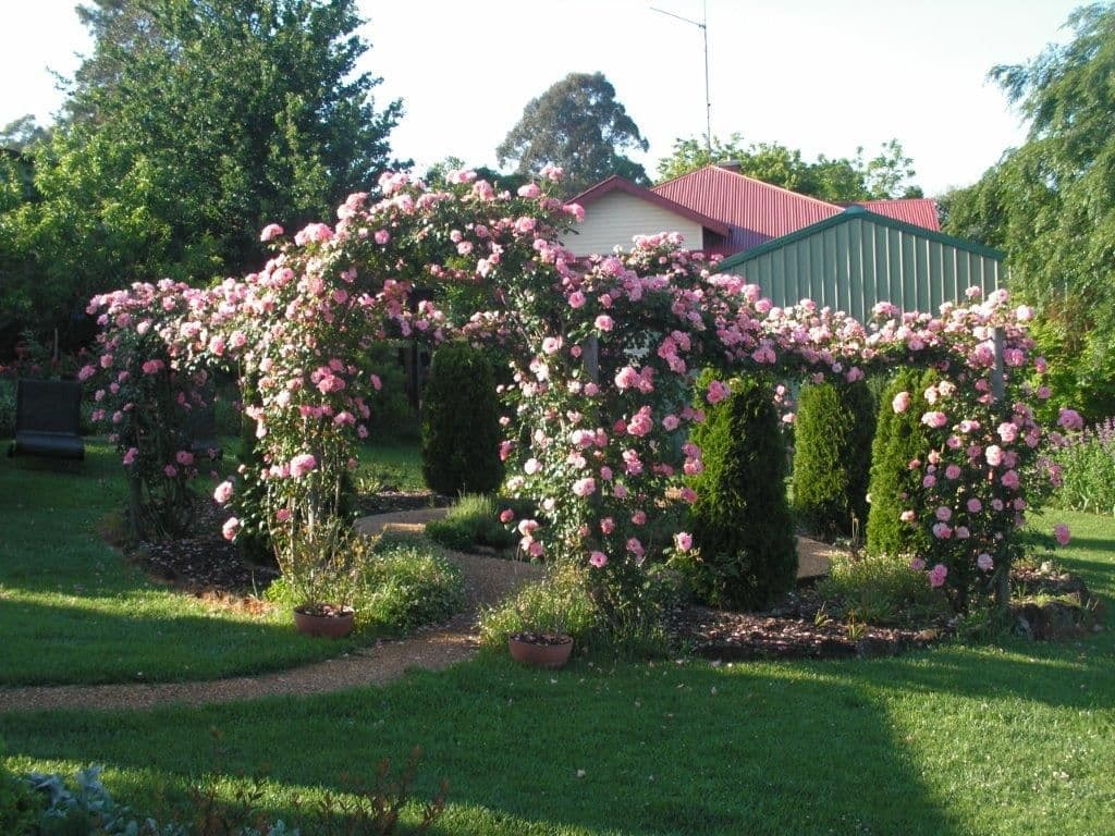 Dorrigo NSW 2453, Dorrigo - Thumbnail 4