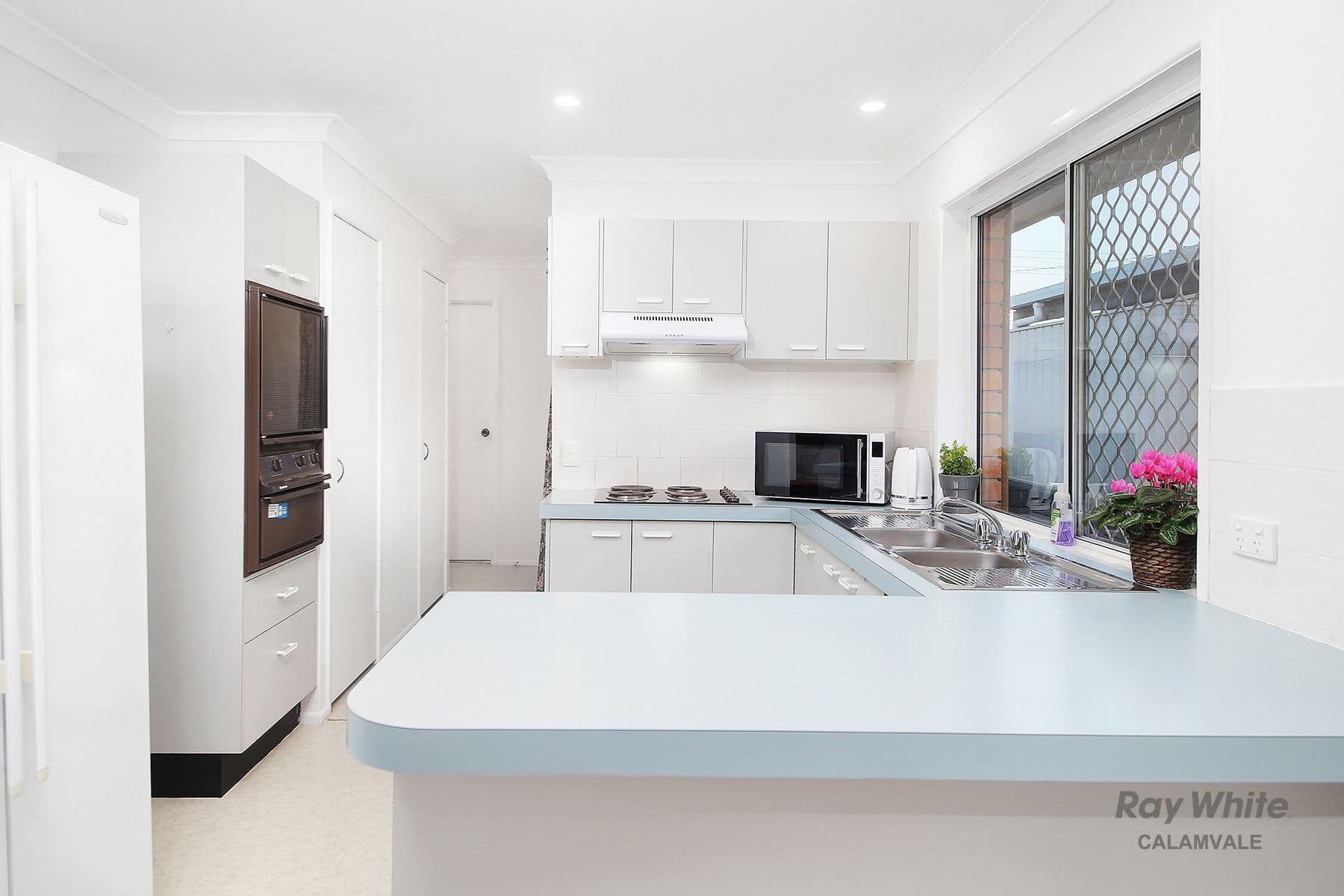 20 Helmet Court, Hillcrest QLD 4118, Hillcrest - Thumbnail 7