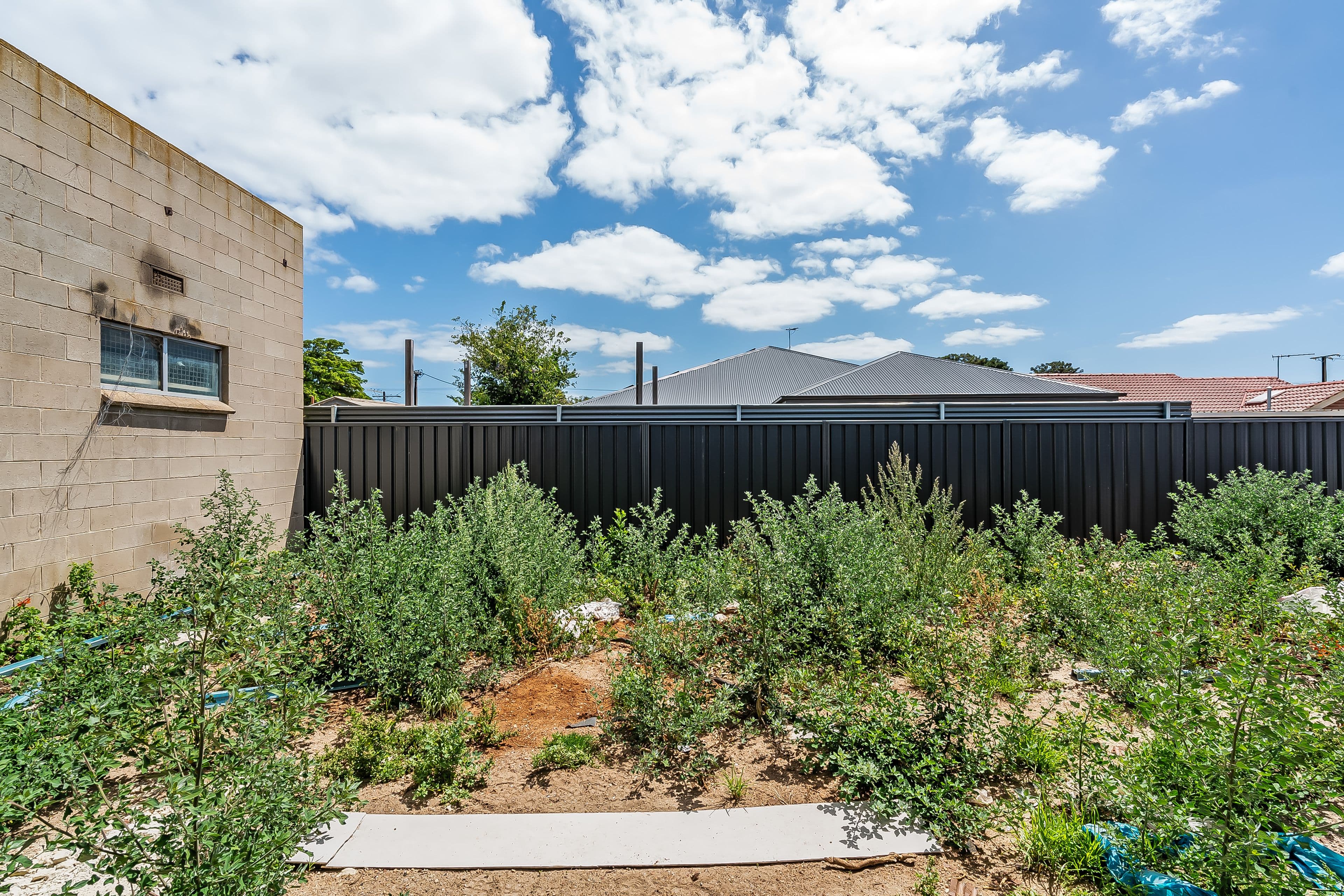 123 Strathfield Terrace, Taperoo SA 5017, Taperoo - Thumbnail 4