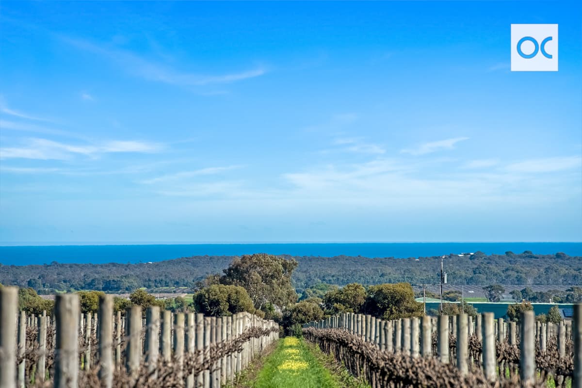 185 Ryan Road, Sellicks Hill - Thumbnail 2