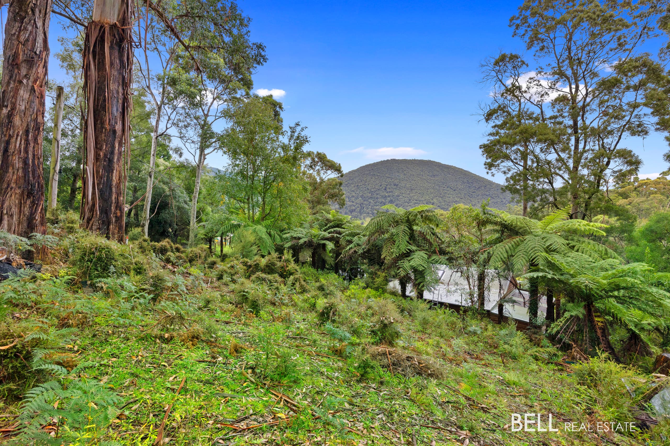 2 Essex Street, WARBURTON, Warburton - Image 1