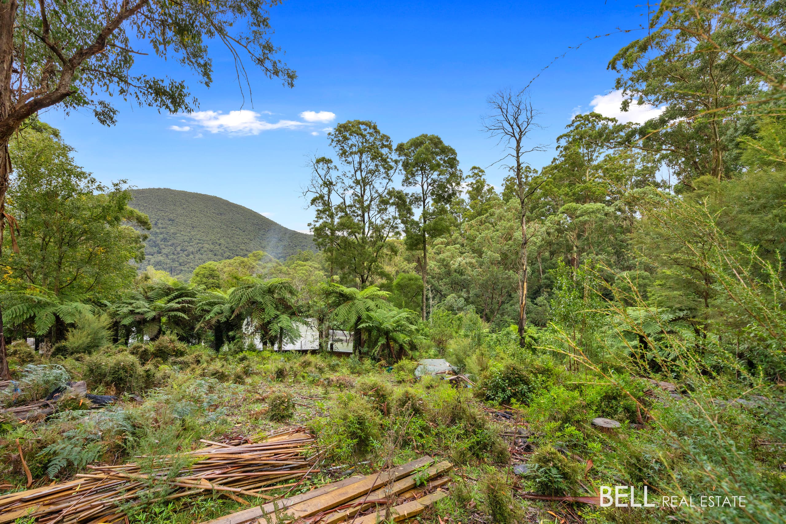 2 Essex Street, WARBURTON, Warburton - Thumbnail 2