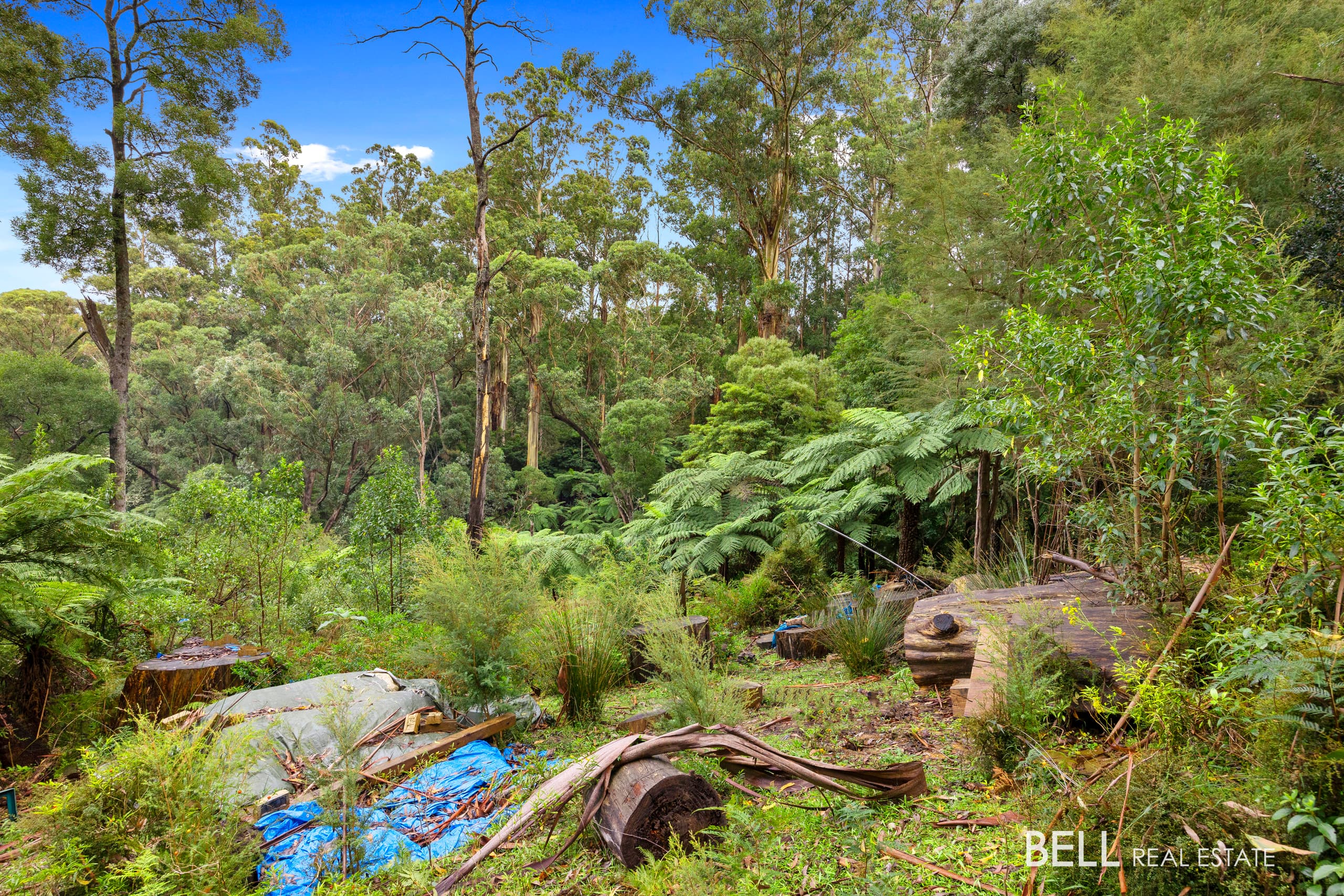 2 Essex Street, WARBURTON, Warburton - Thumbnail 4