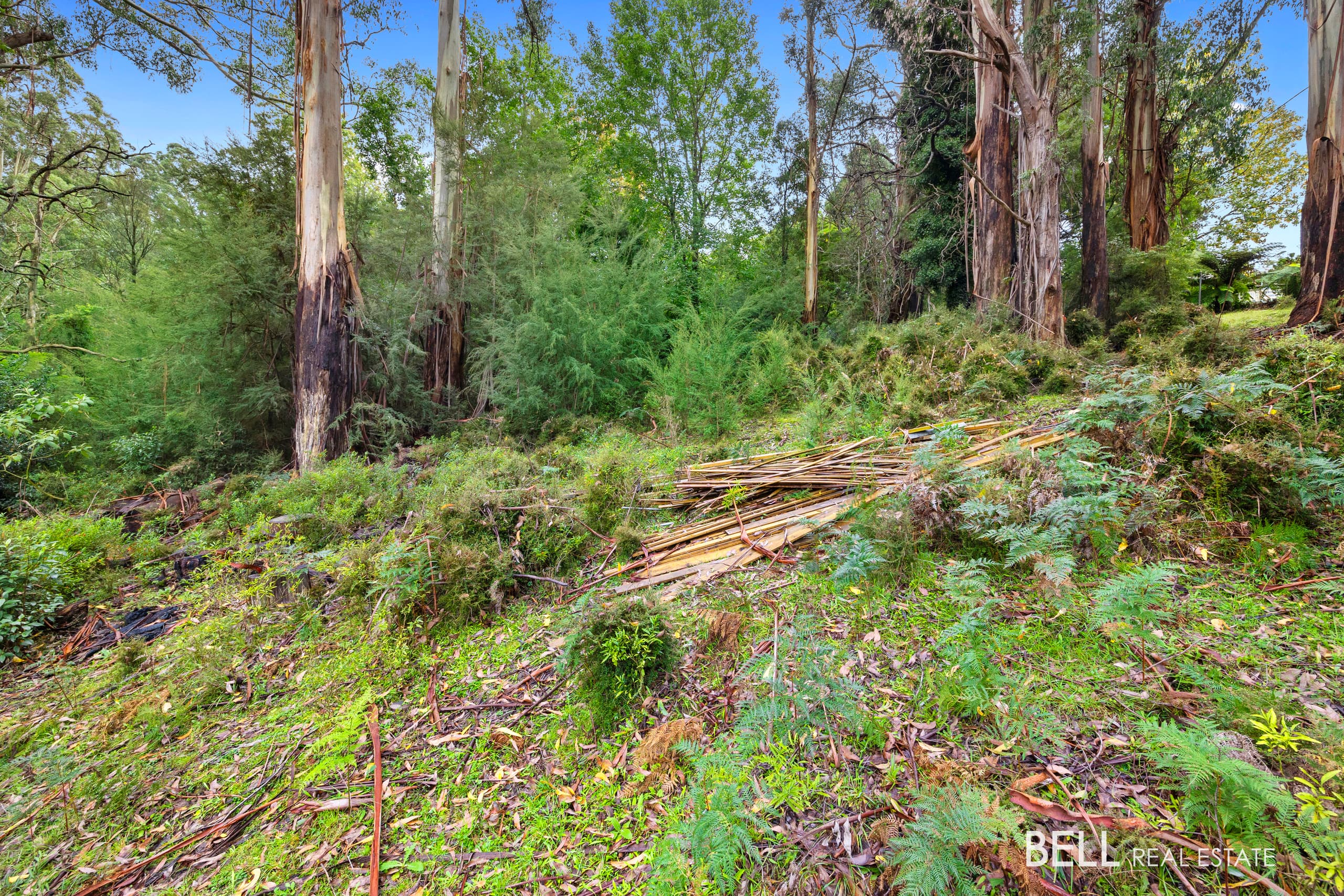 2 Essex Street, WARBURTON, Warburton - Thumbnail 5