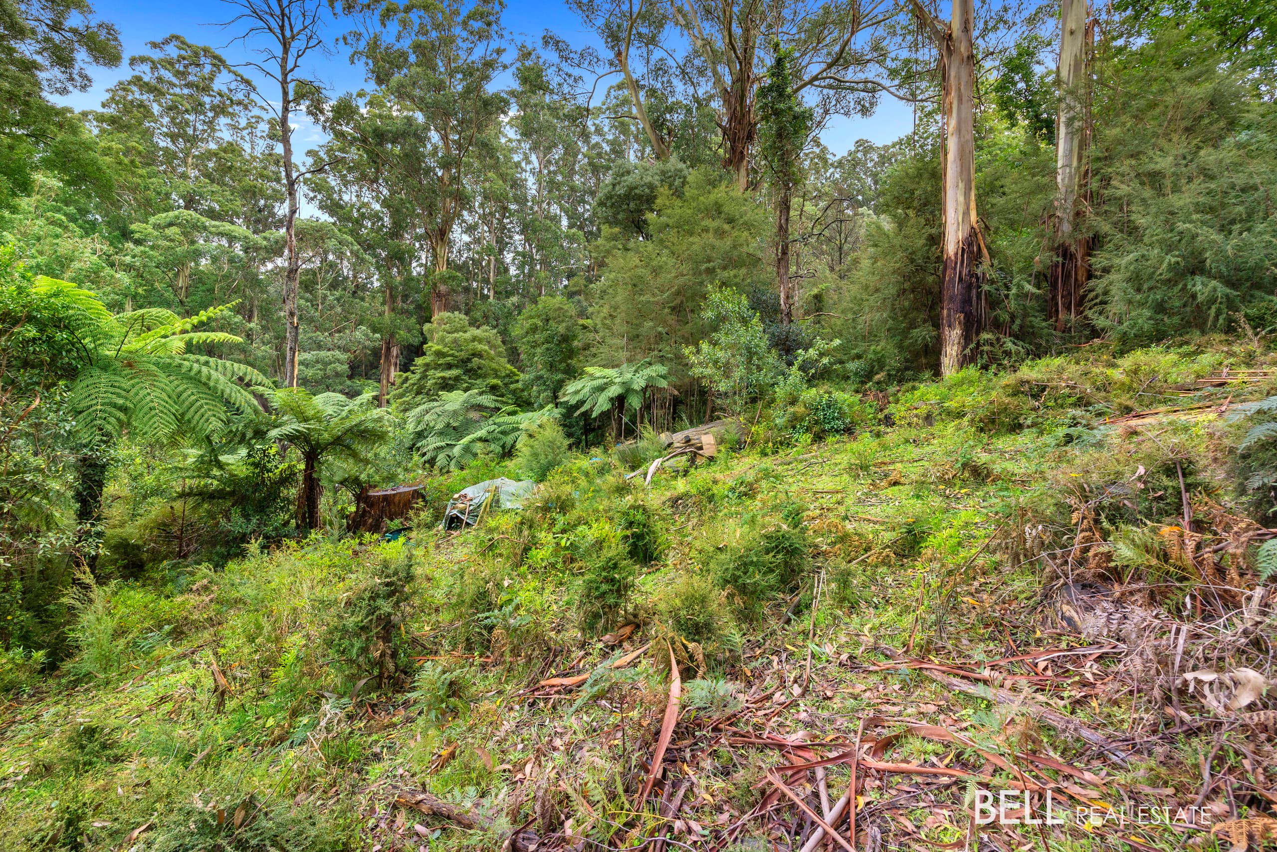 2 Essex Street, WARBURTON, Warburton - Thumbnail 6