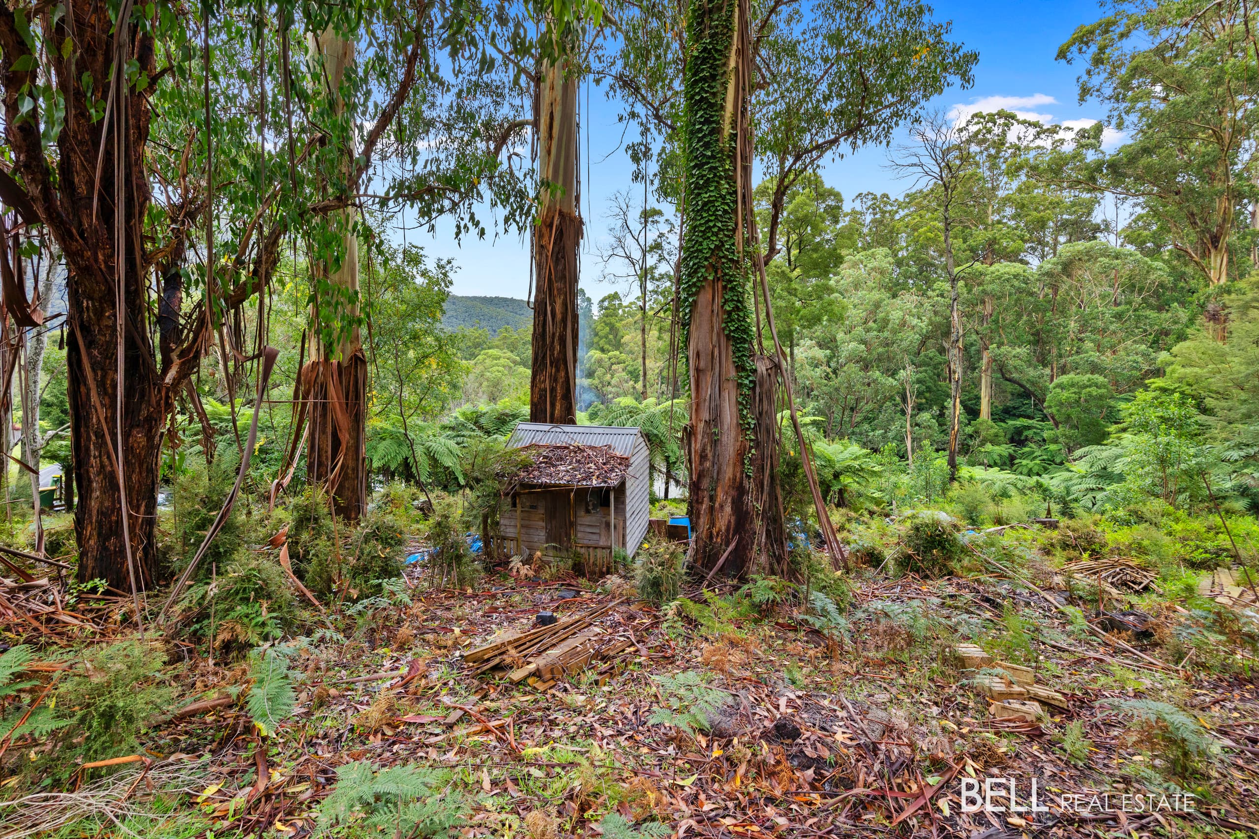 2 Essex Street, WARBURTON, Warburton - Thumbnail 7